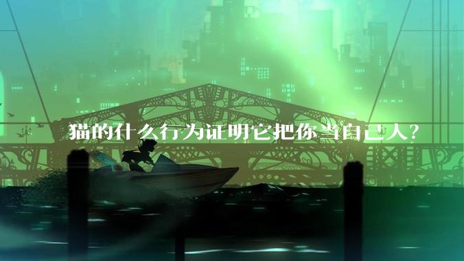 猫的什么行为证明它把你当自己人？