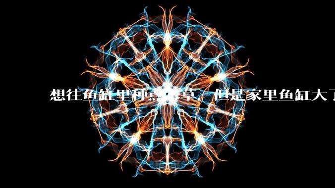 想往鱼缸里种点水草，但是家里鱼缸大了买水草泥或者底砂太贵了，有没有生活中可以替代的物品或其他建议？