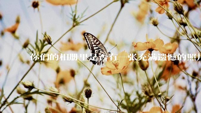 你们的相册里是否有一张充满遗憾的照片？